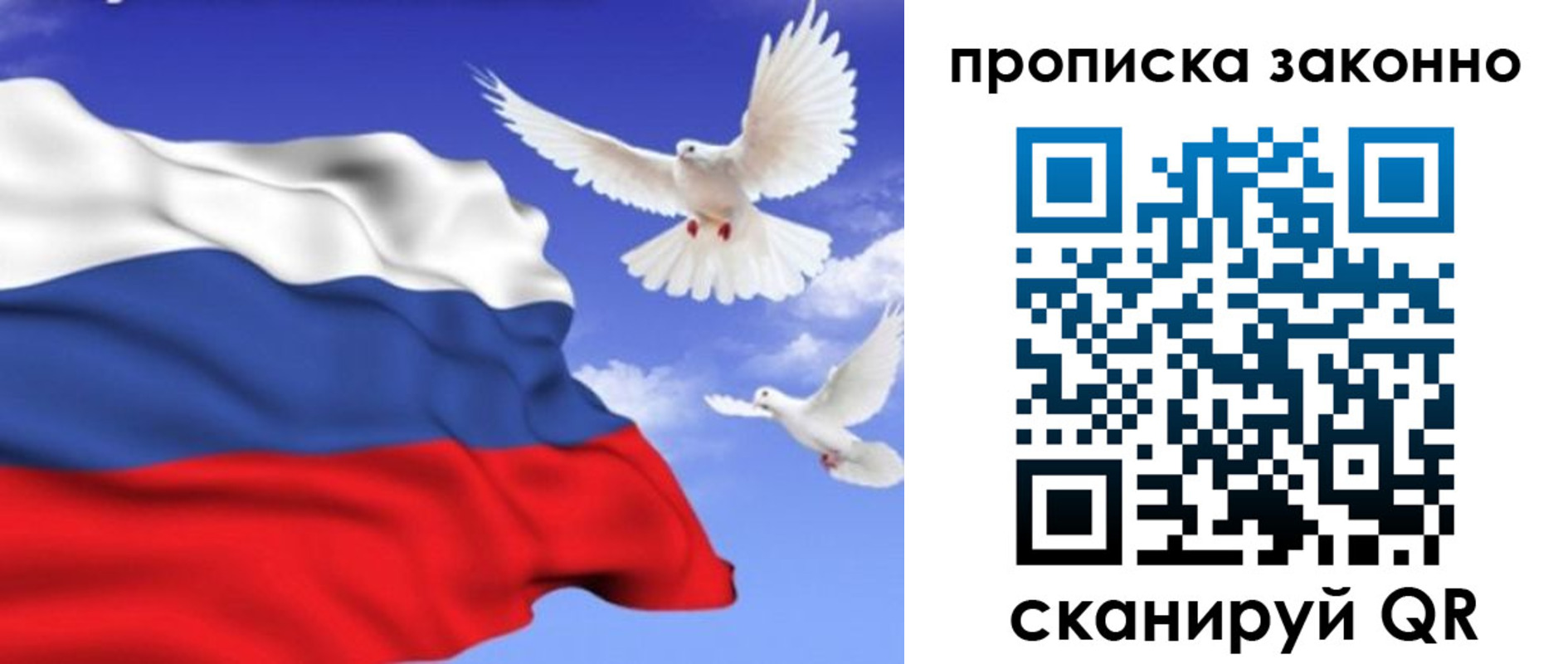 прописка в Железногорск-Илимском